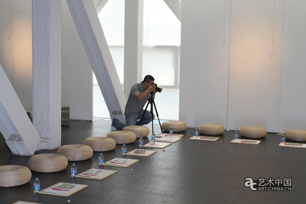 康劍飛,康劍飛作品展,中間美術館,作為媒體的藝術,觀看飛鳥的方式,北京,上海