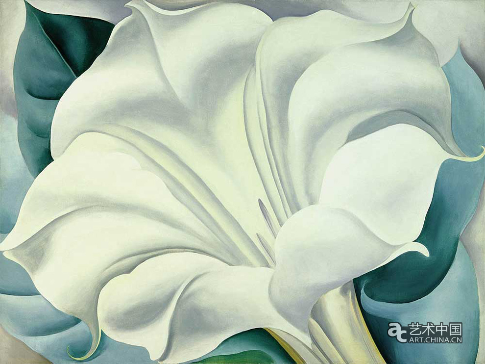 歐姬芙,作品,White Trumpet Flower