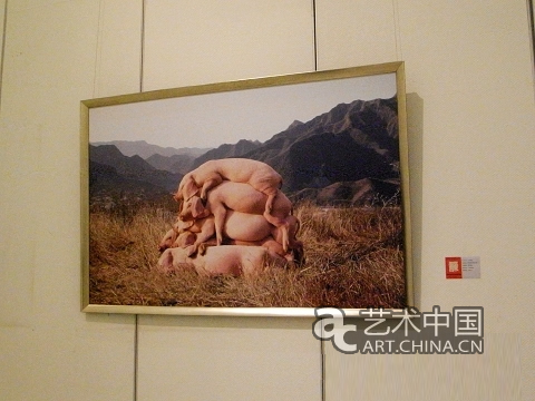 跨界天才左小祖咒藝術品成都首展